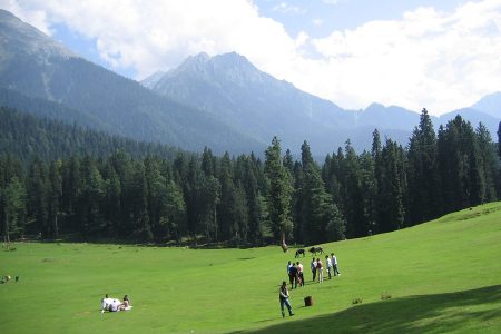 Kashmir FIT PACKAGES with Net B2B Rates(1)