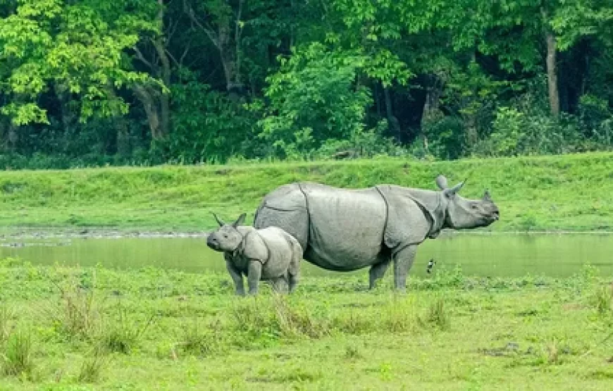 Meghalaya Backpacking with Kaziranga Fixed Departure 2024