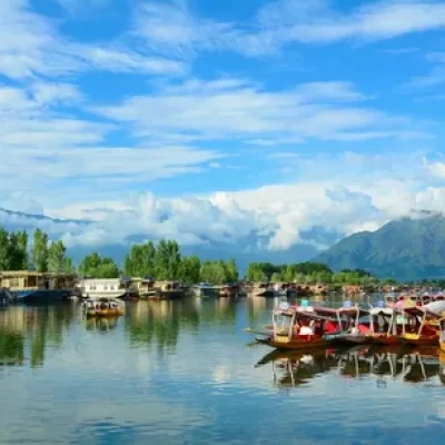 kashmir